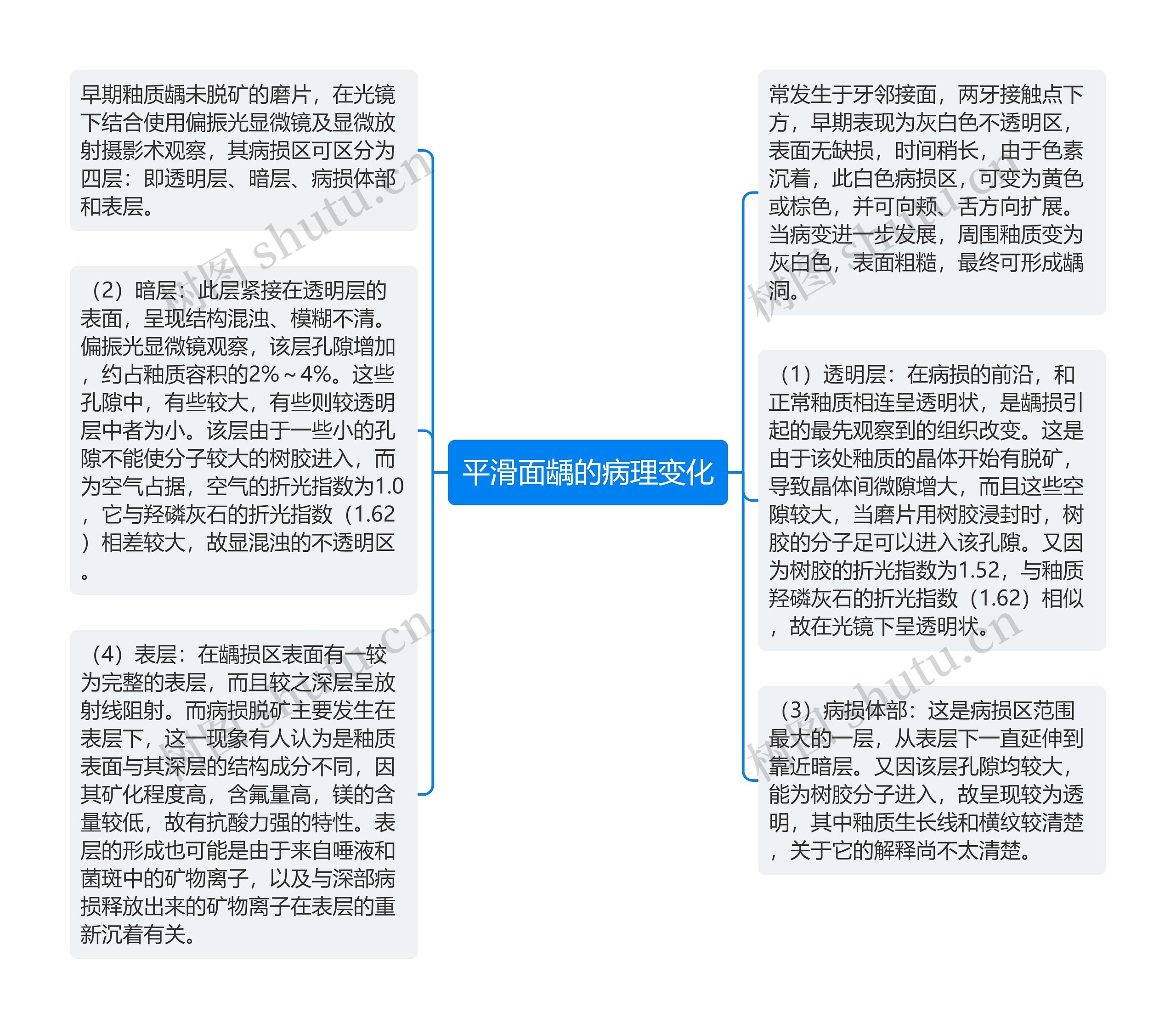 平滑面龋的病理变化思维导图