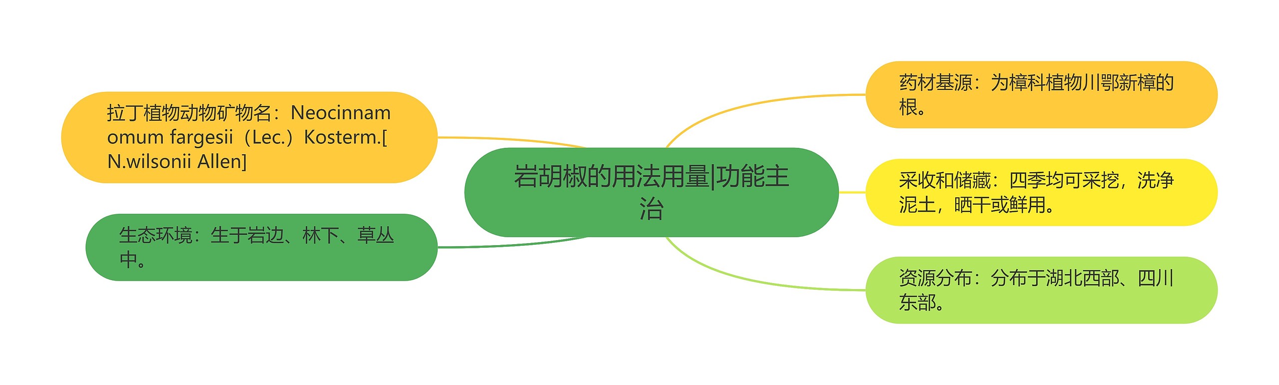 岩胡椒的用法用量|功能主治 岩胡椒的用法用量|功能主治