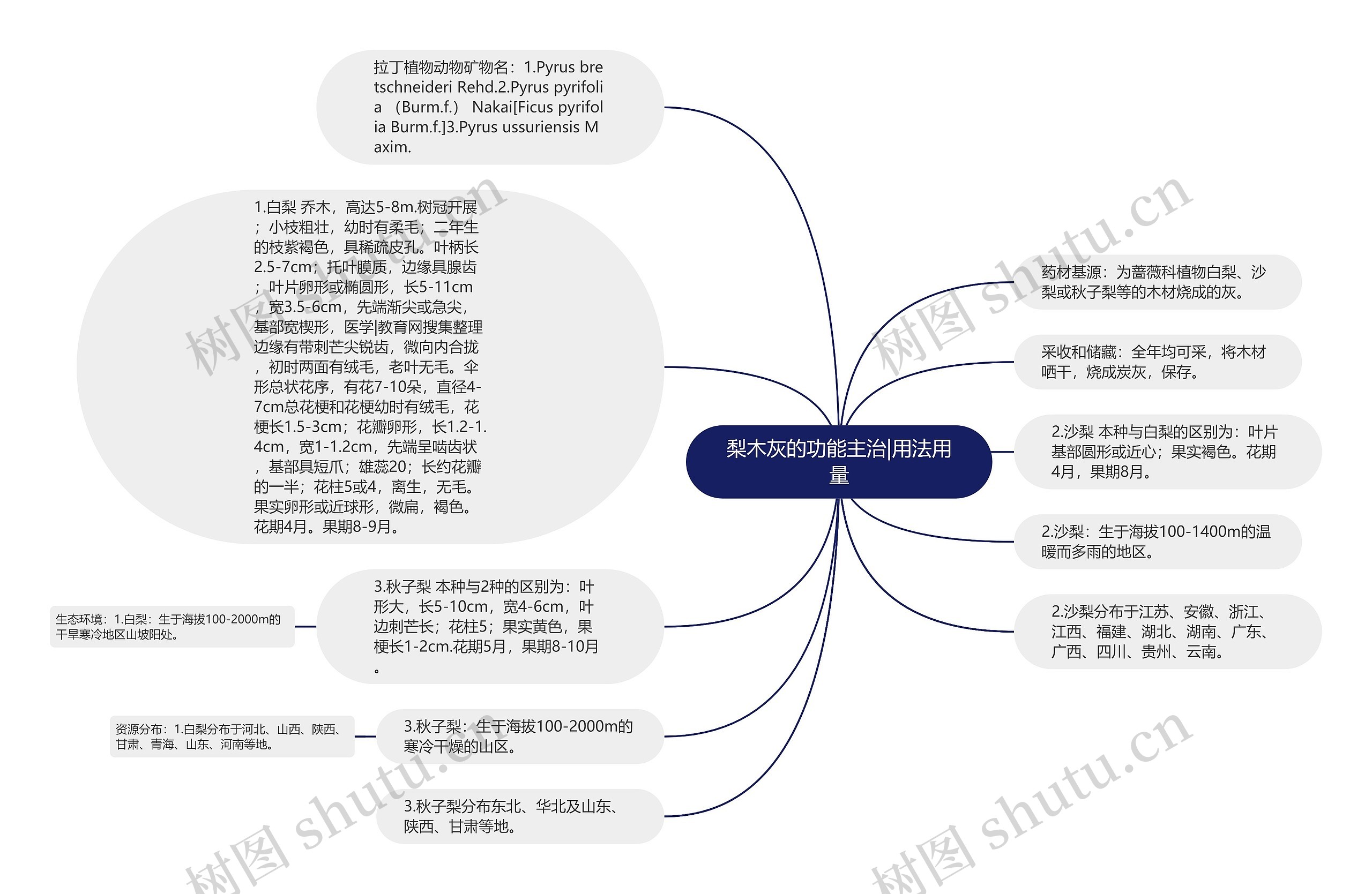 梨木灰的功能主治|用法用量