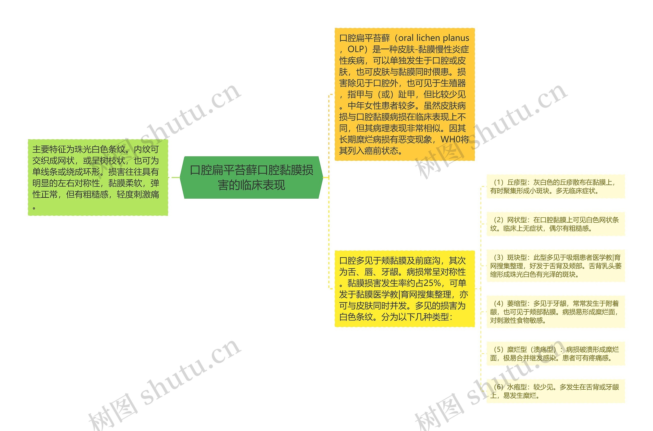 口腔扁平苔藓口腔黏膜损害的临床表现