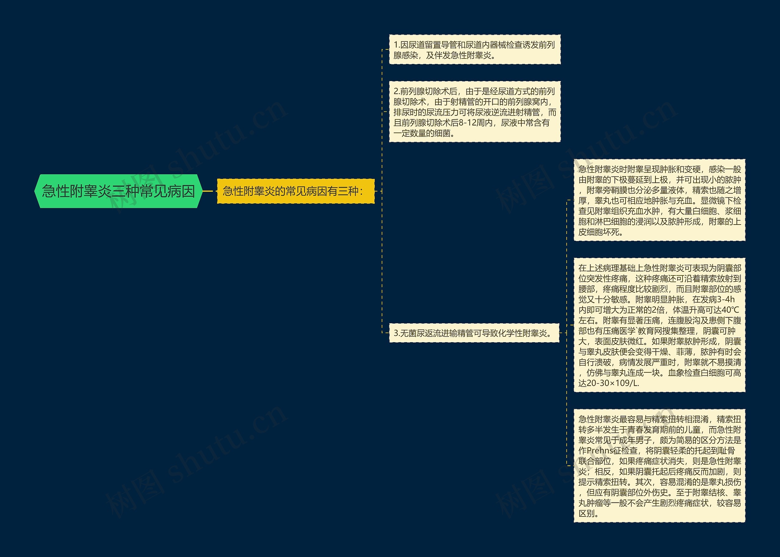 急性附睾炎三种常见病因思维导图