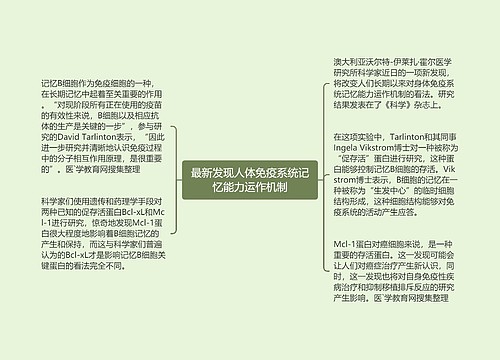 最新发现人体免疫系统记忆能力运作机制