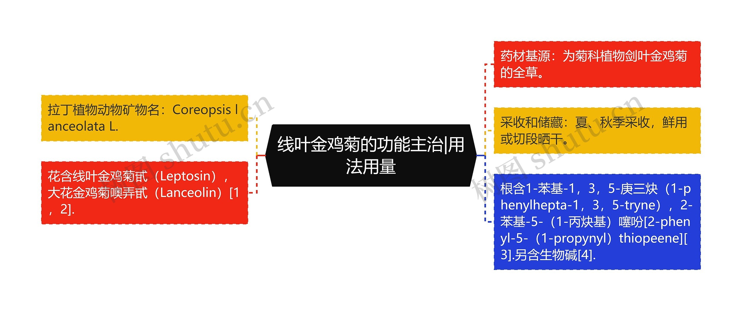 线叶金鸡菊的功能主治|用法用量思维导图