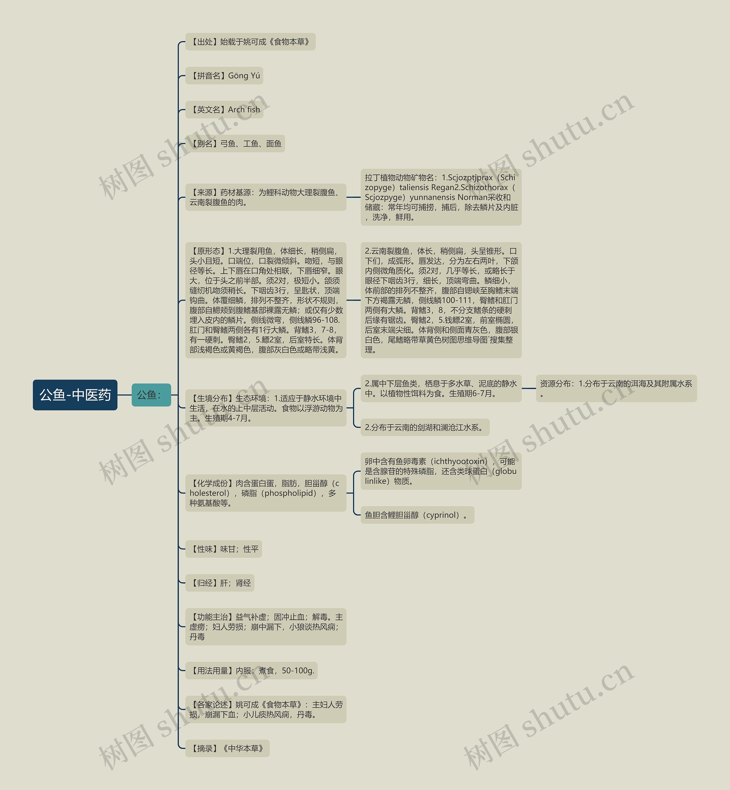 公鱼-中医药思维导图