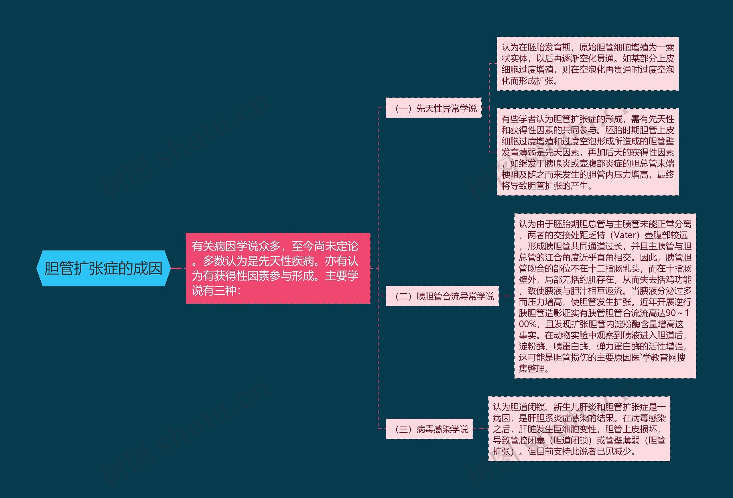 胆管扩张症的成因思维导图