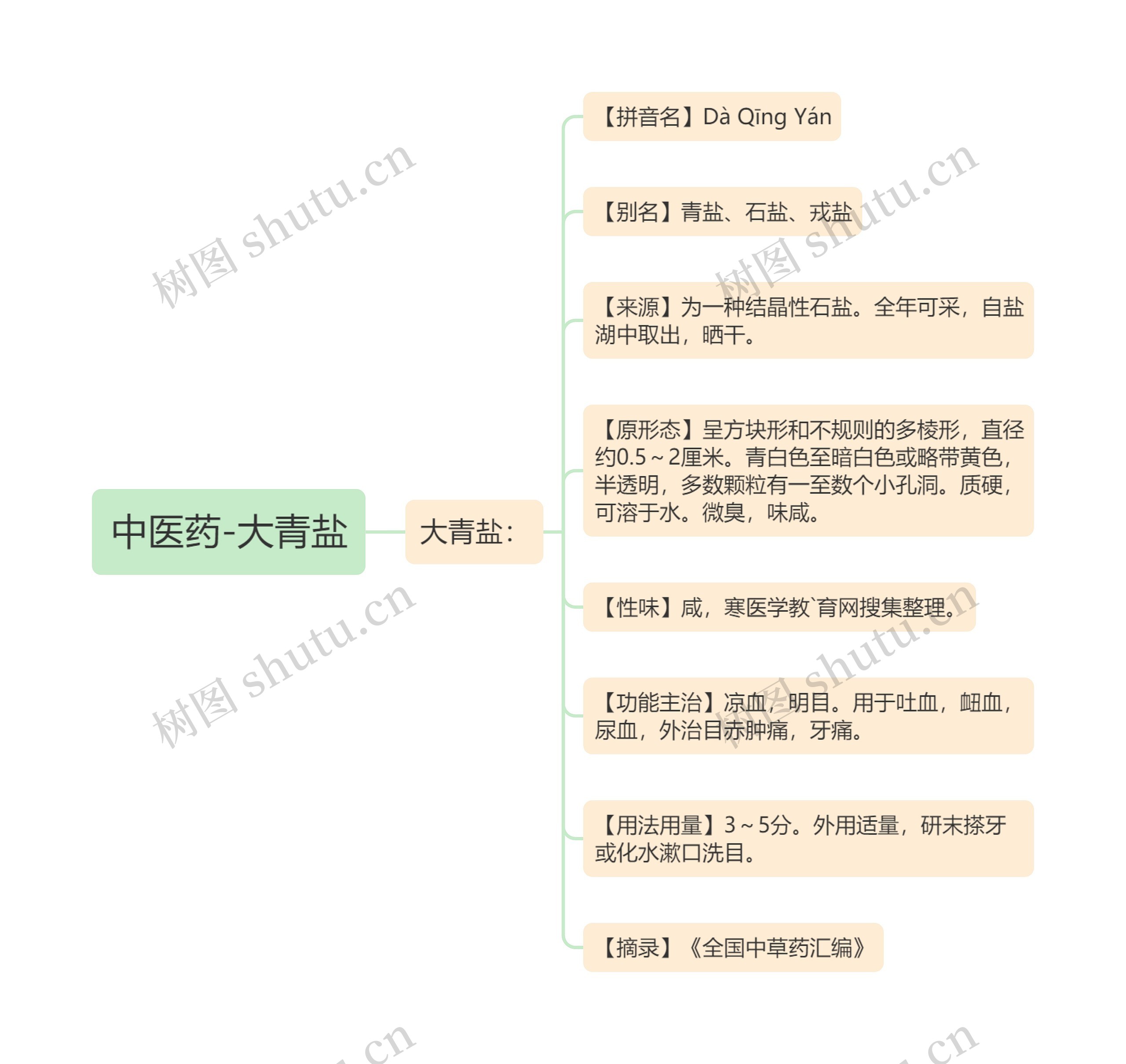 中医药-大青盐思维导图