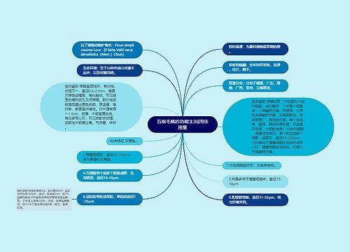 五指毛桃的功能主治|用法用量