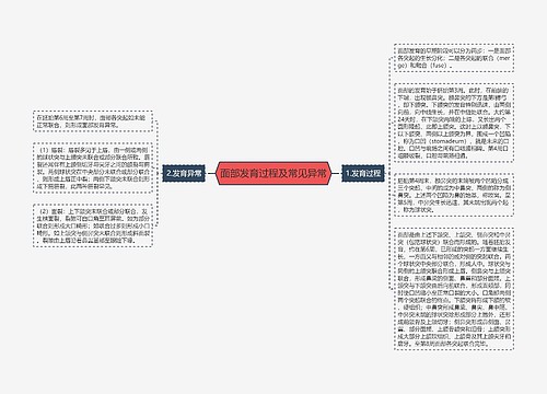 面部发育过程及常见异常