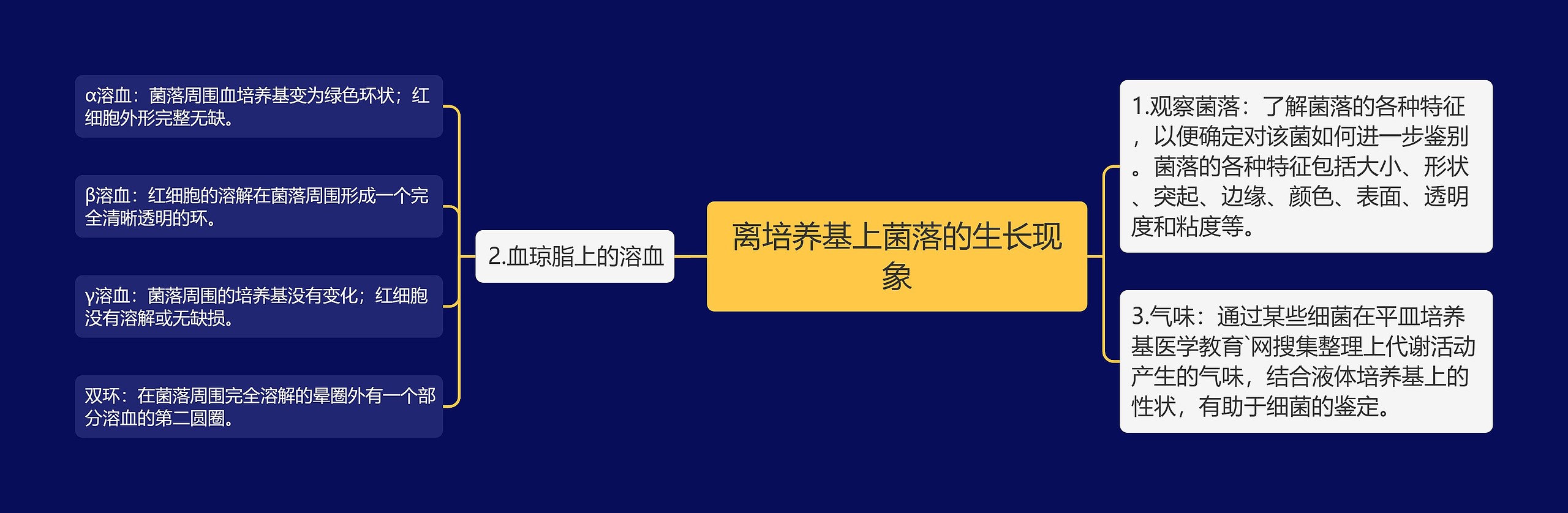 离培养基上菌落的生长现象思维导图