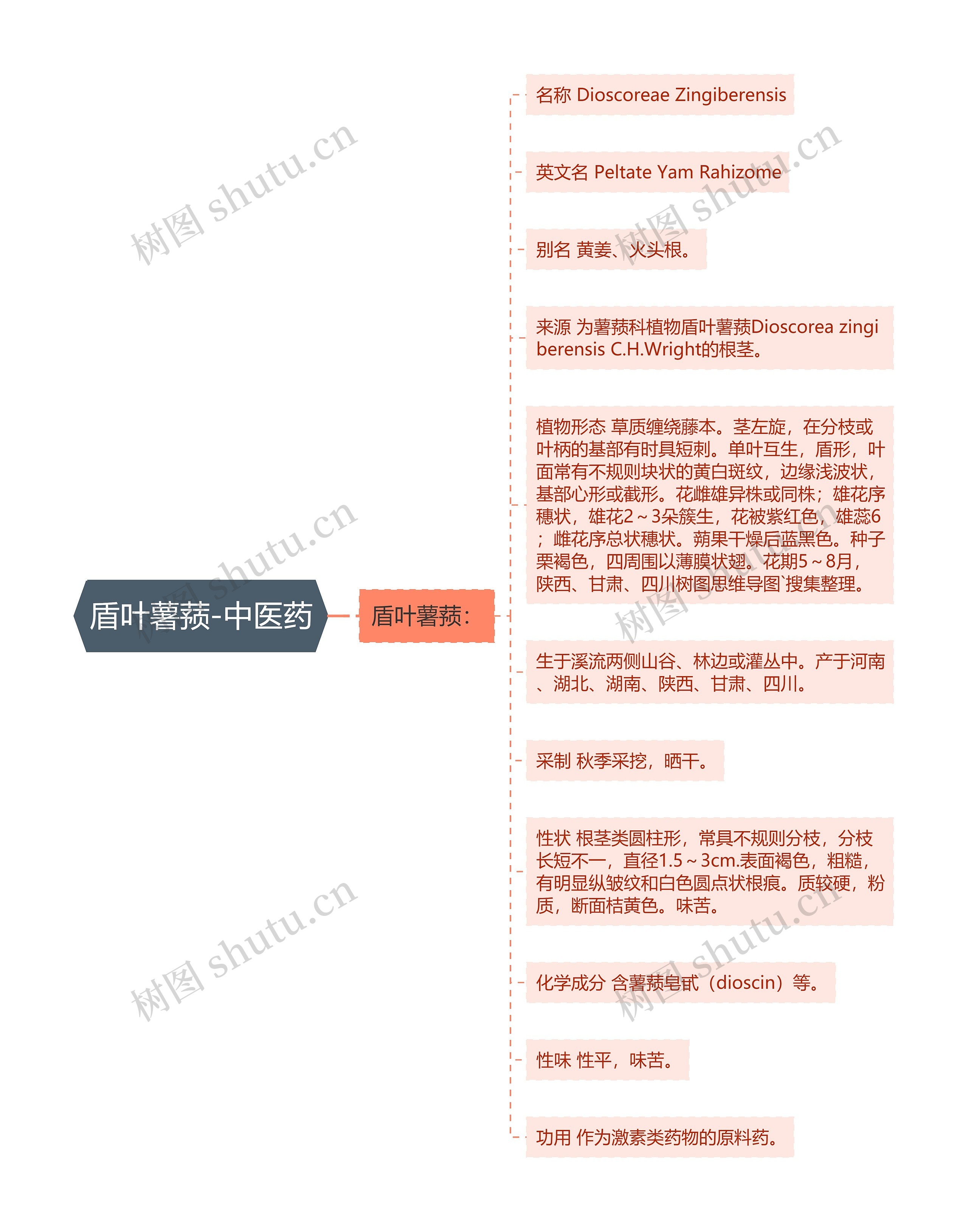 盾叶薯蓣-中医药思维导图