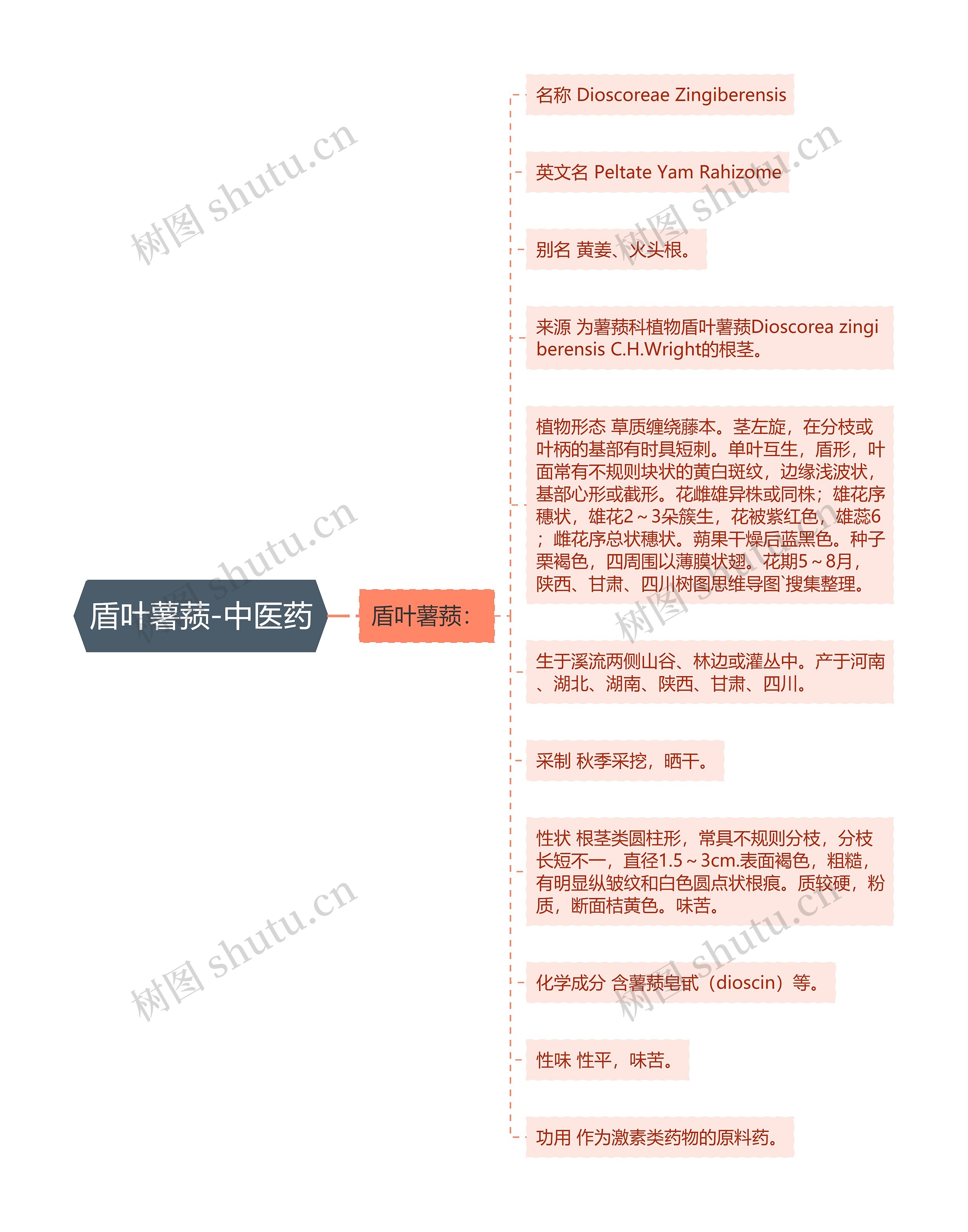 盾叶薯蓣-中医药 盾叶薯蓣-中医药