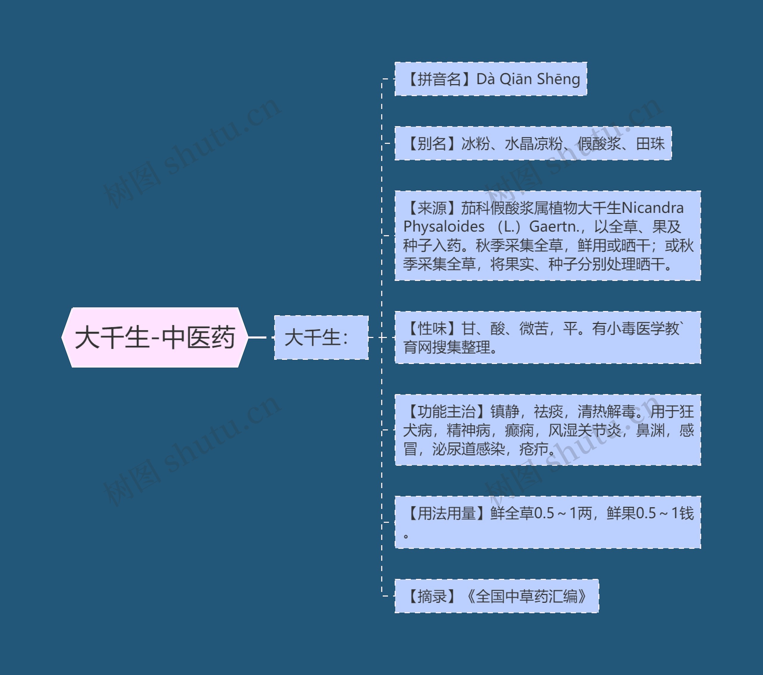 大千生-中医药思维导图