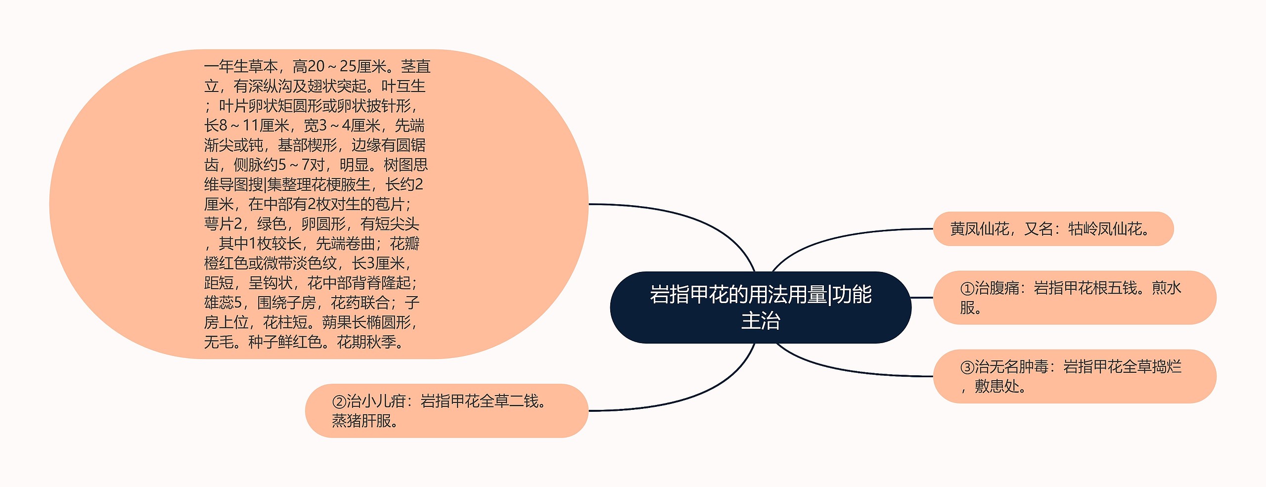 岩指甲花的用法用量|功能主治 岩指甲花的用法用量|功能主治