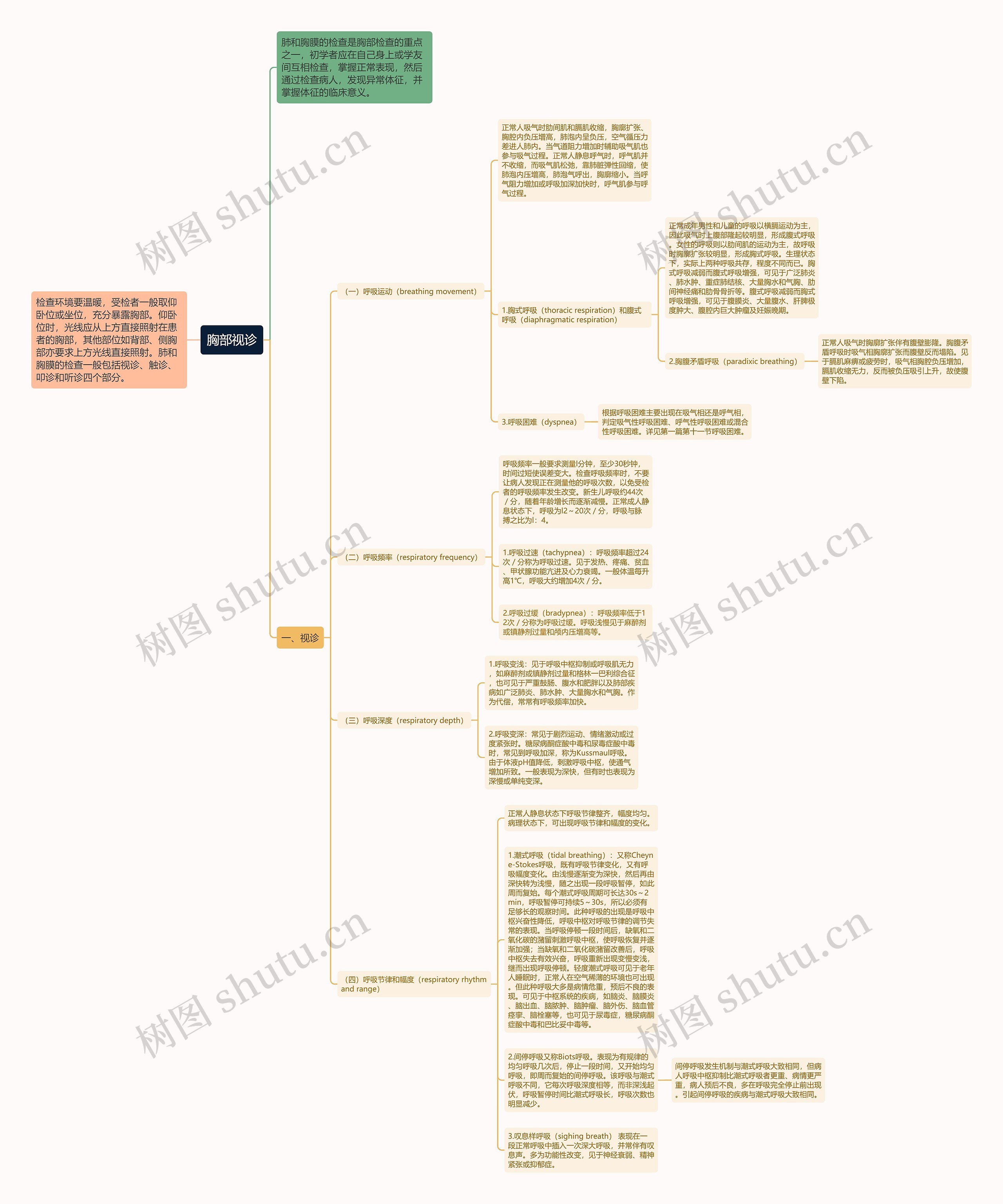 胸部视诊思维导图
