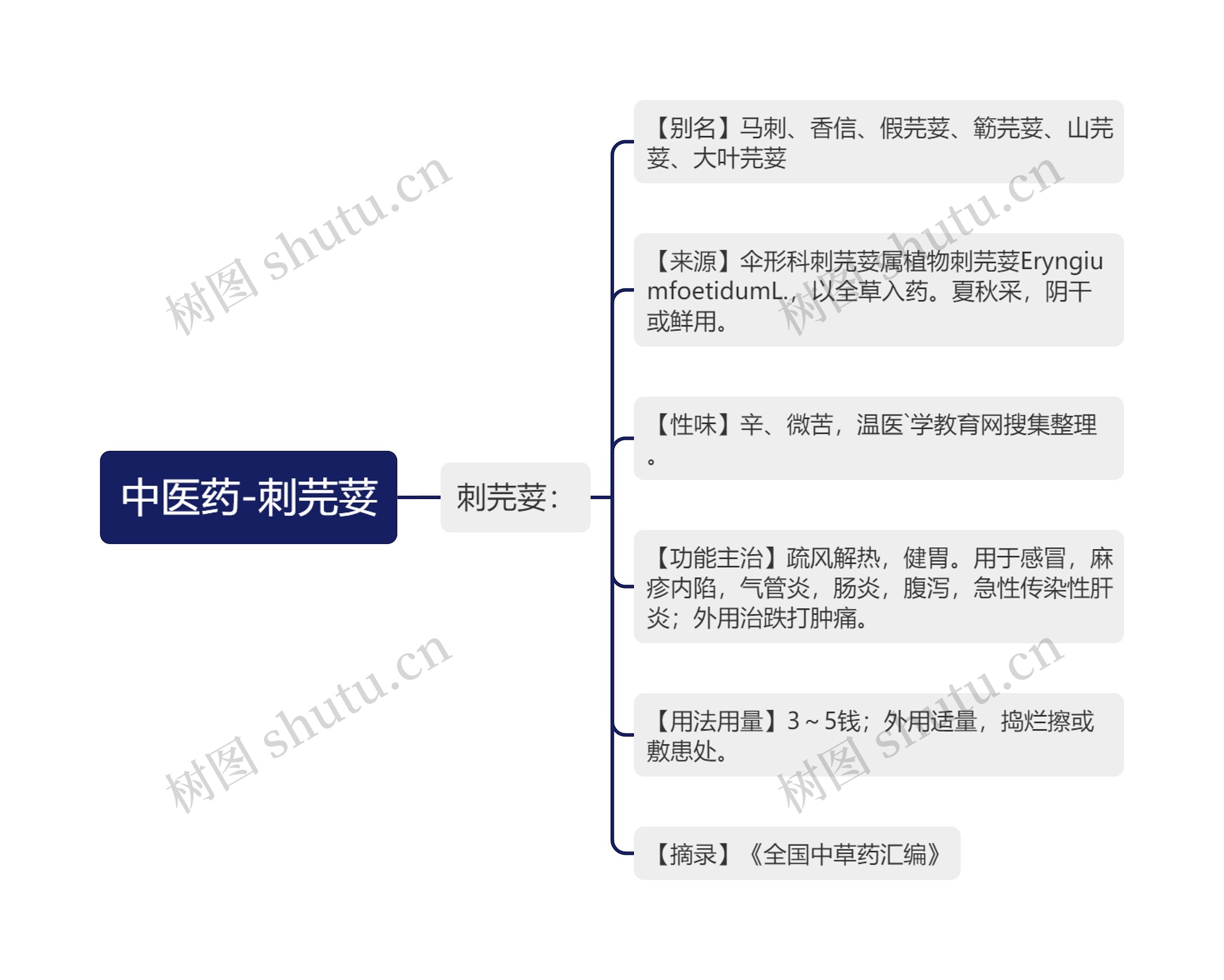 中医药-刺芫荽思维导图