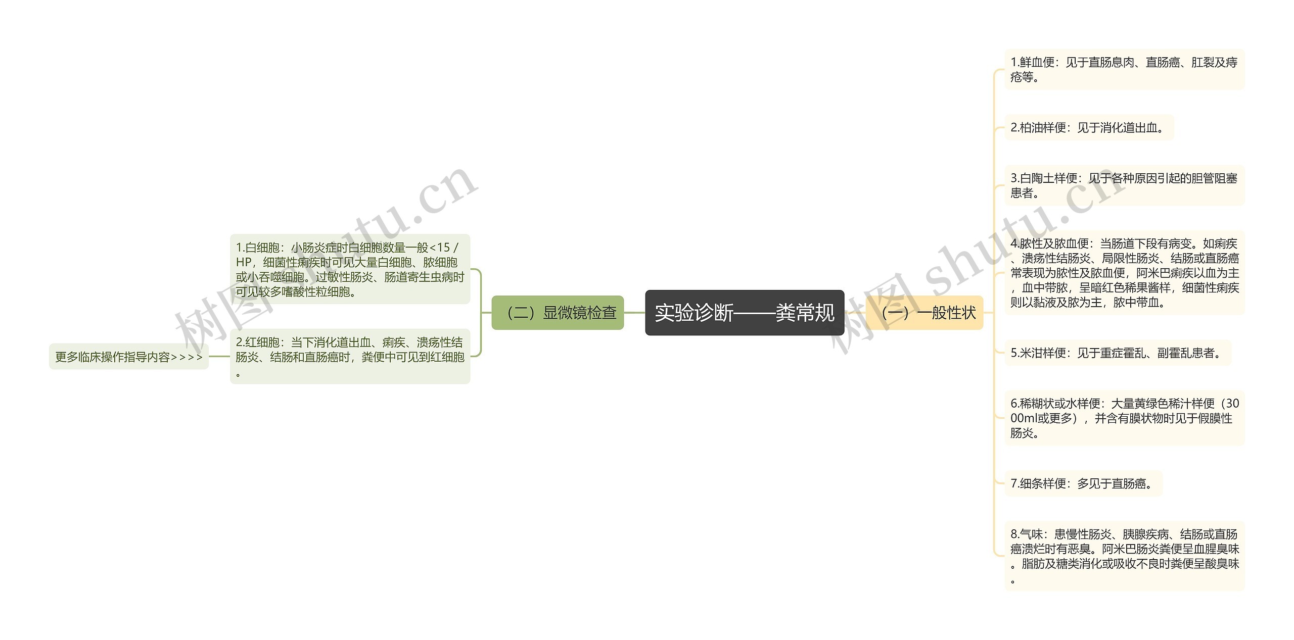 实验诊断——粪常规