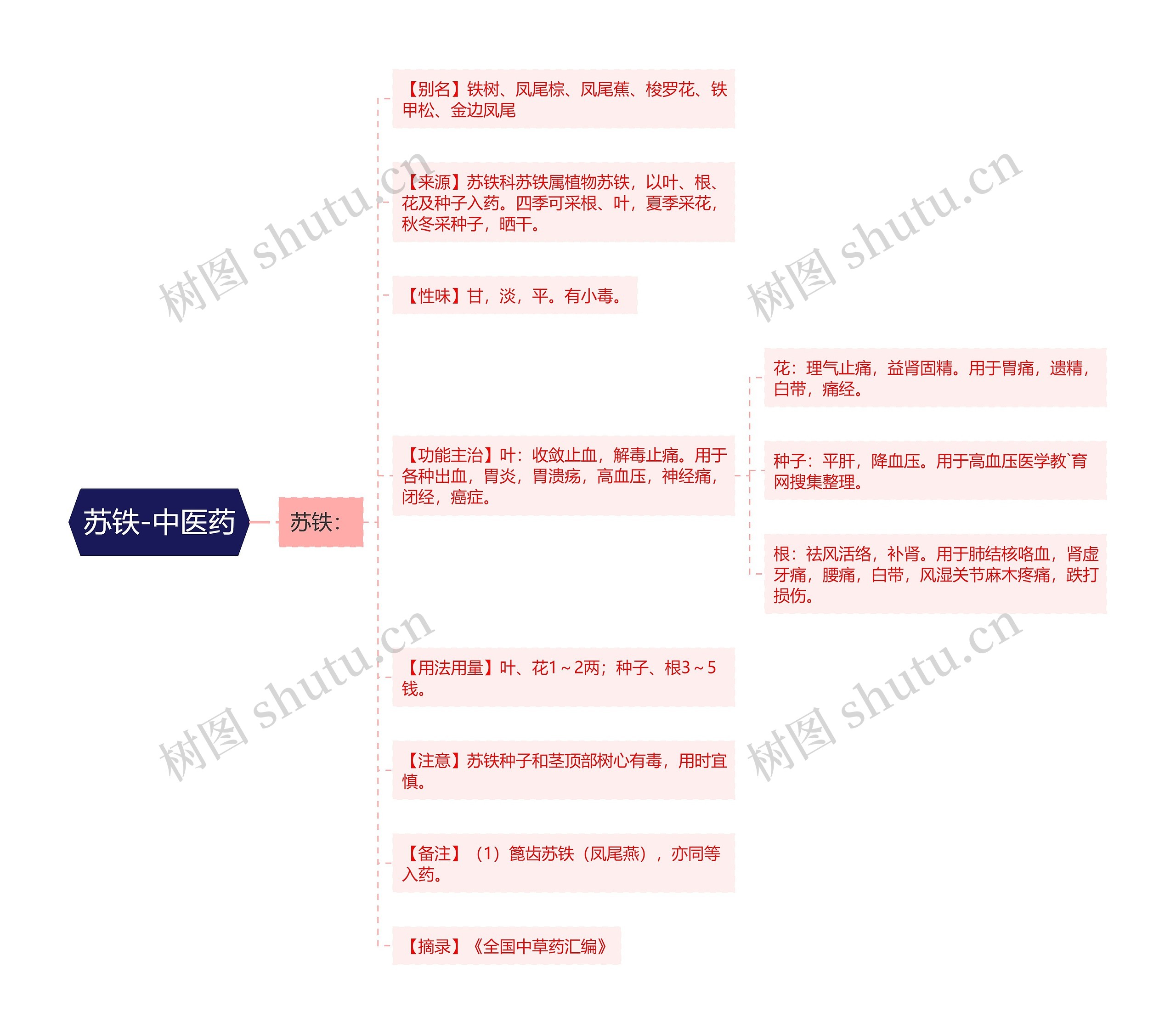苏铁-中医药思维导图