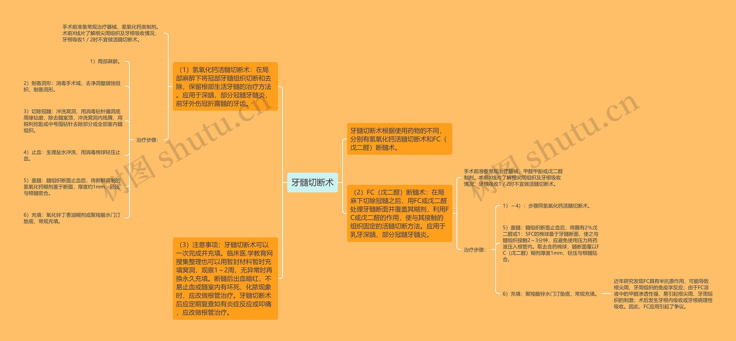 牙髓切断术思维导图