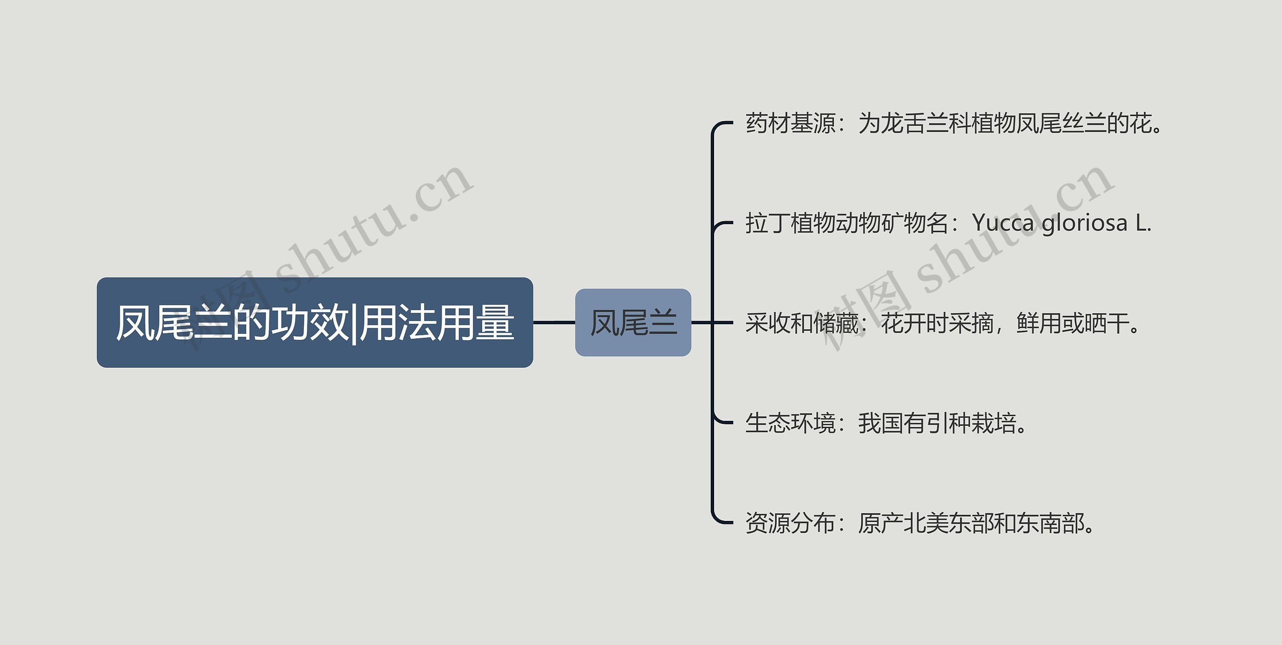 凤尾兰的功效|用法用量思维导图