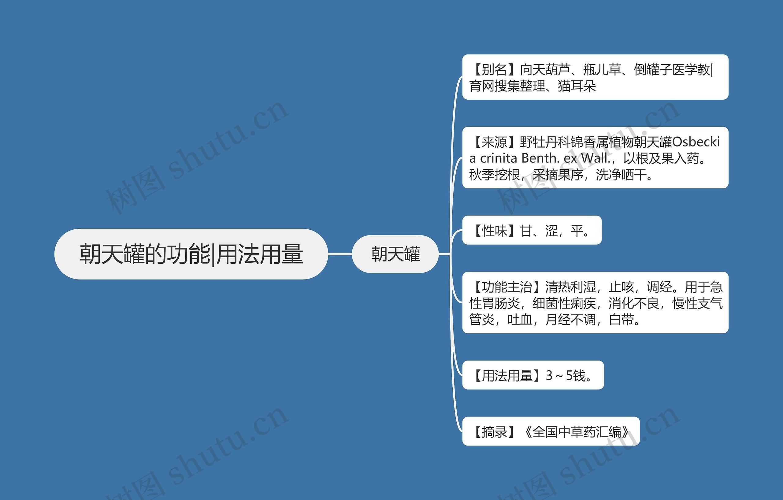 朝天罐的功能|用法用量思维导图