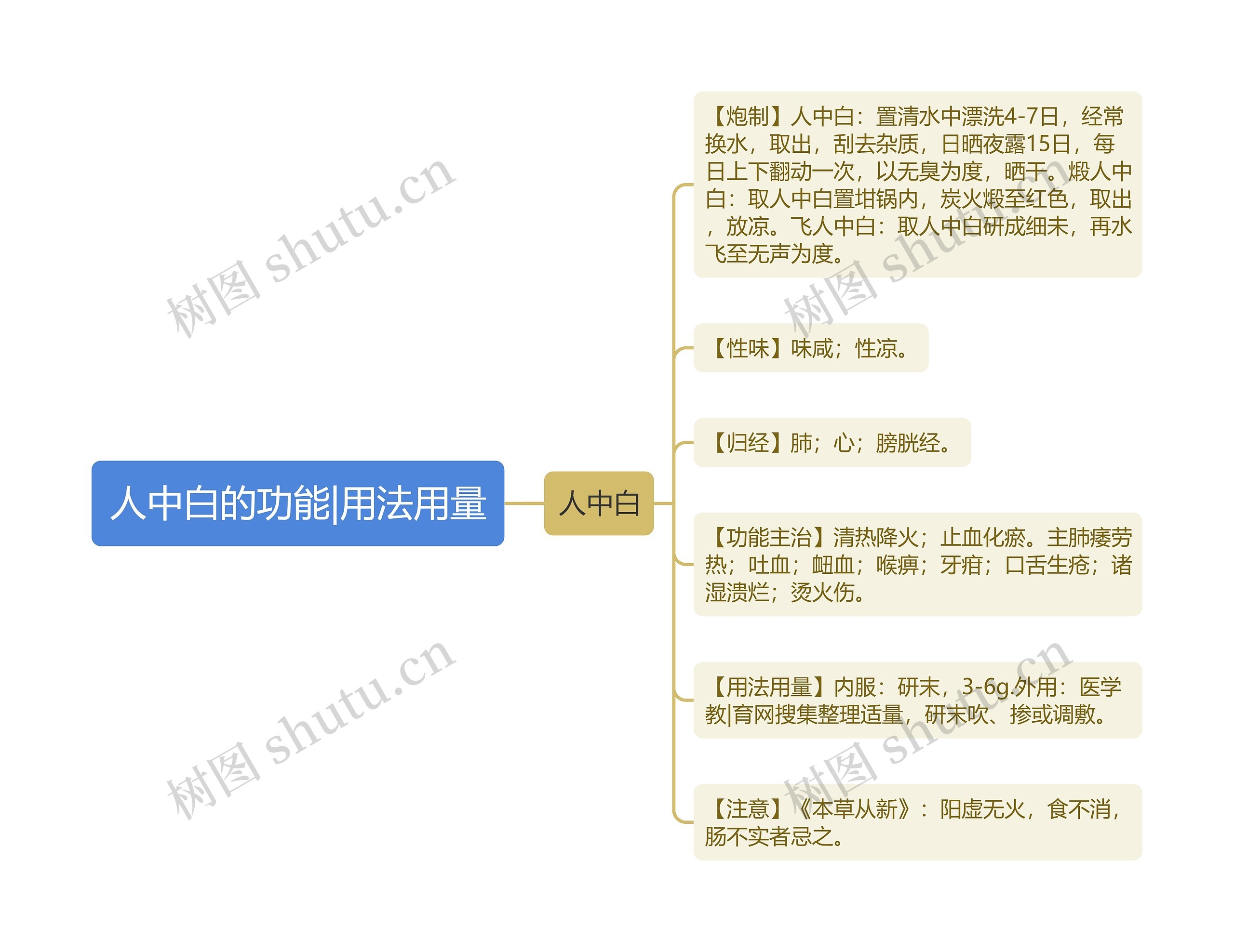 人中白的功能|用法用量思维导图