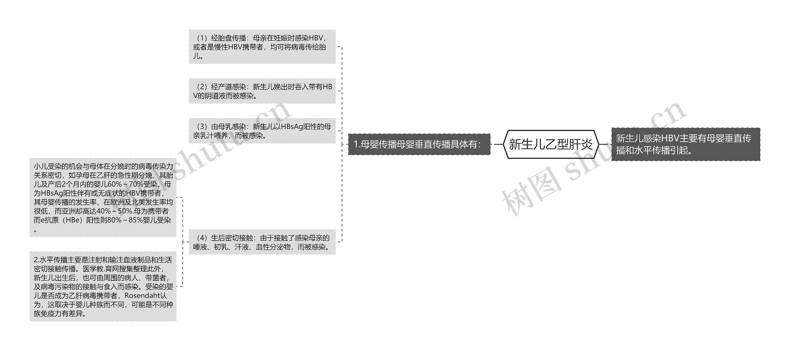 新生儿乙型肝炎思维导图