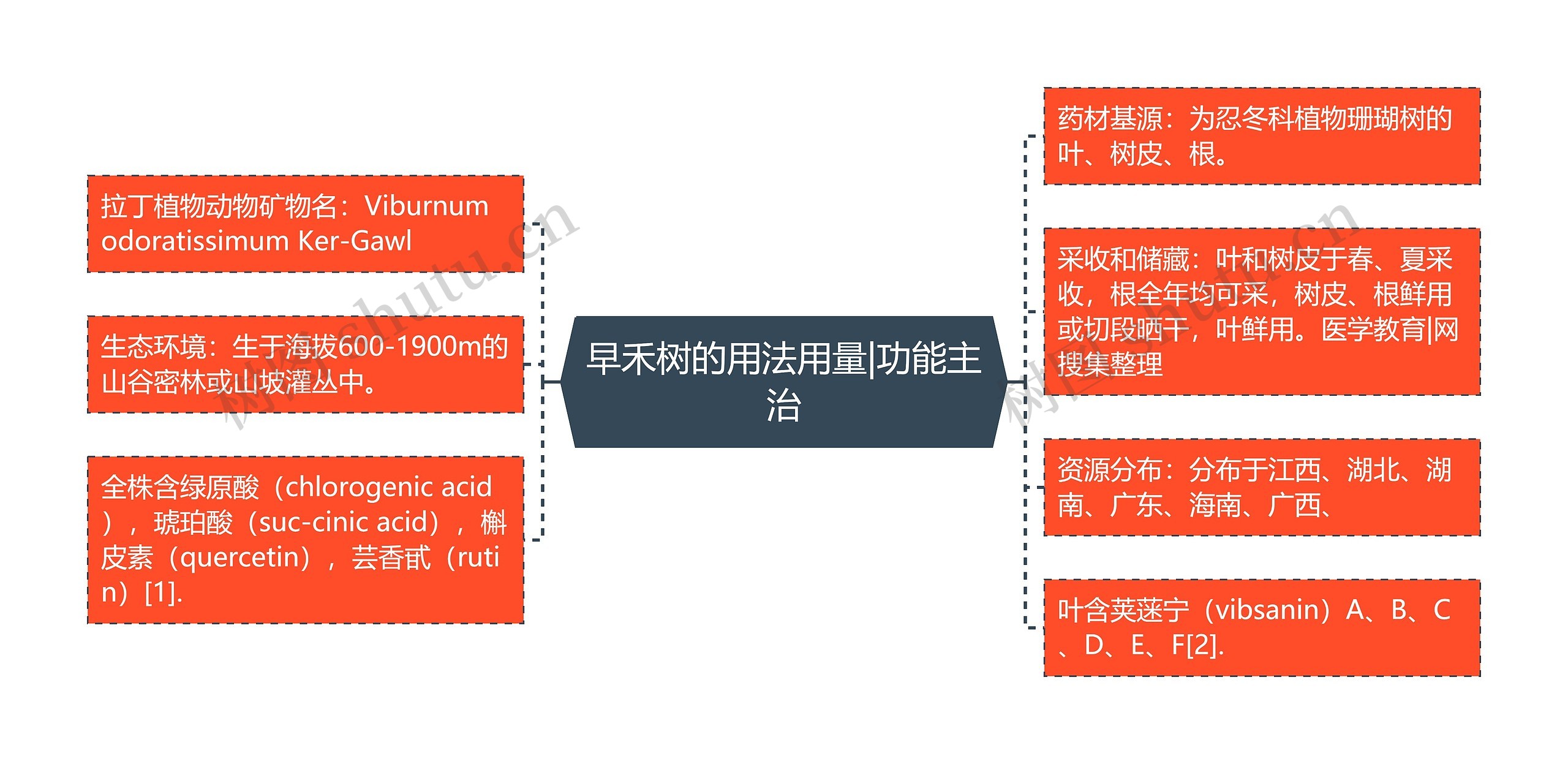 早禾树的用法用量|功能主治