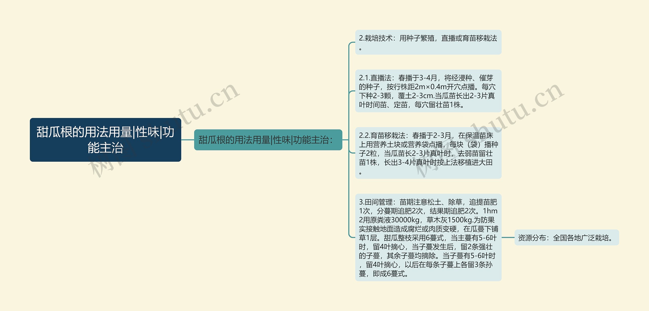 甜瓜根的用法用量|性味|功能主治 甜瓜根的用法用量|性味|功能主治
