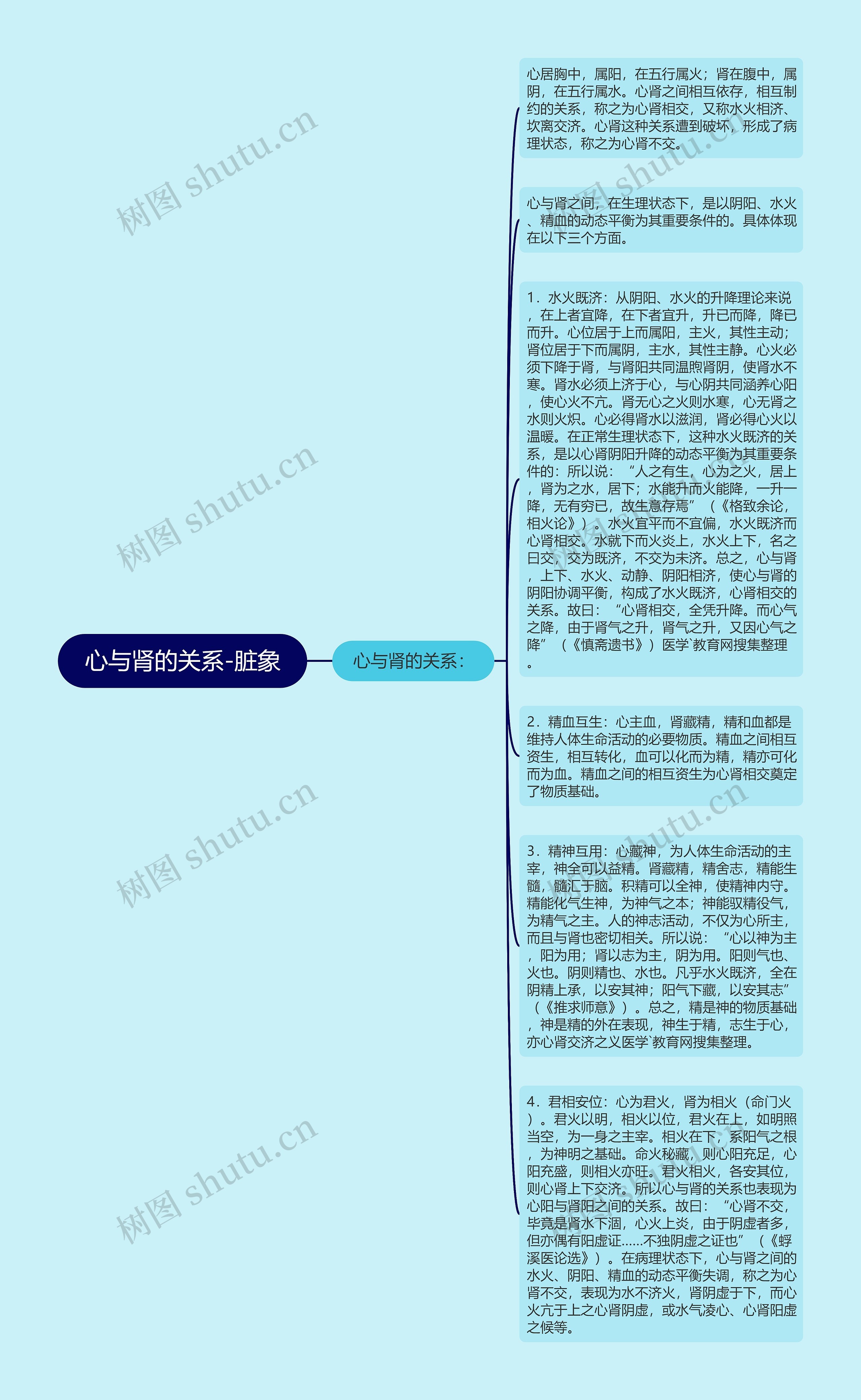 心与肾的关系-脏象思维导图