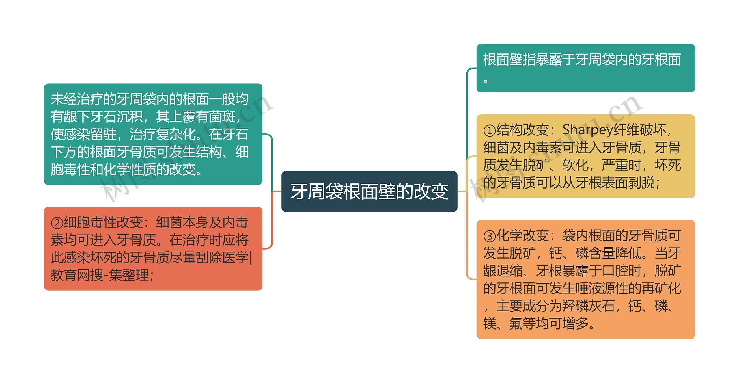 牙周袋根面壁的改变思维导图