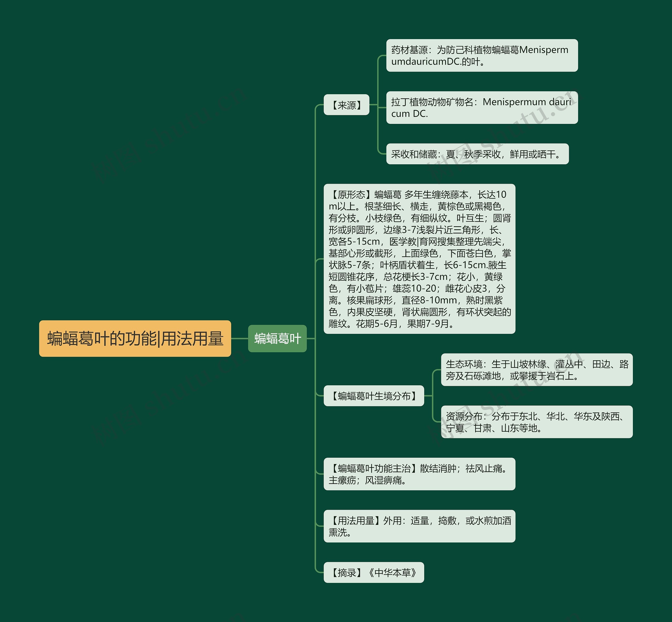 蝙蝠葛叶的功能|用法用量