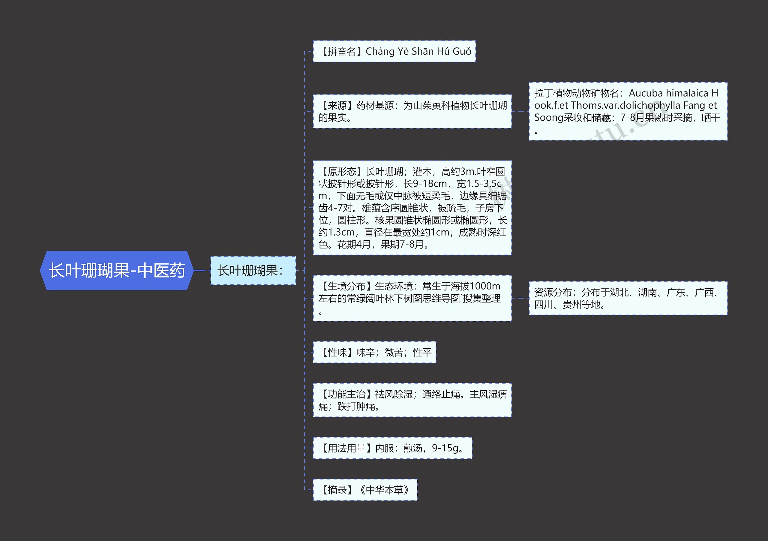 长叶珊瑚果-中医药 长叶珊瑚果-中医药
