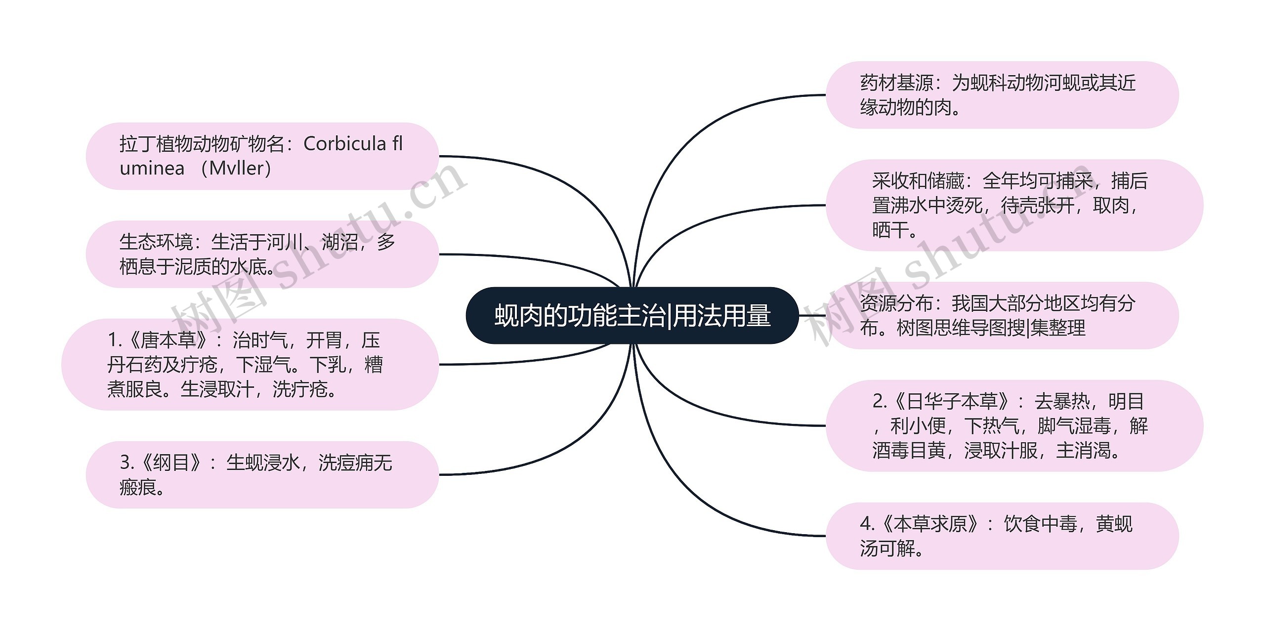 蚬肉的功能主治|用法用量