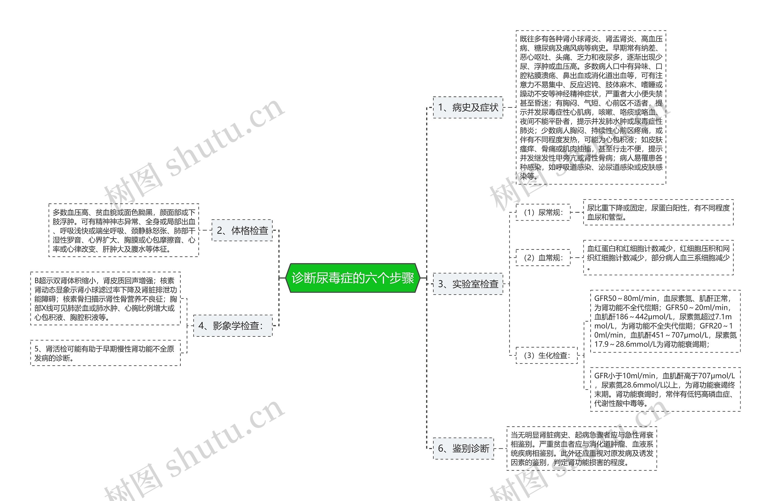 诊断尿毒症的六个步骤思维导图