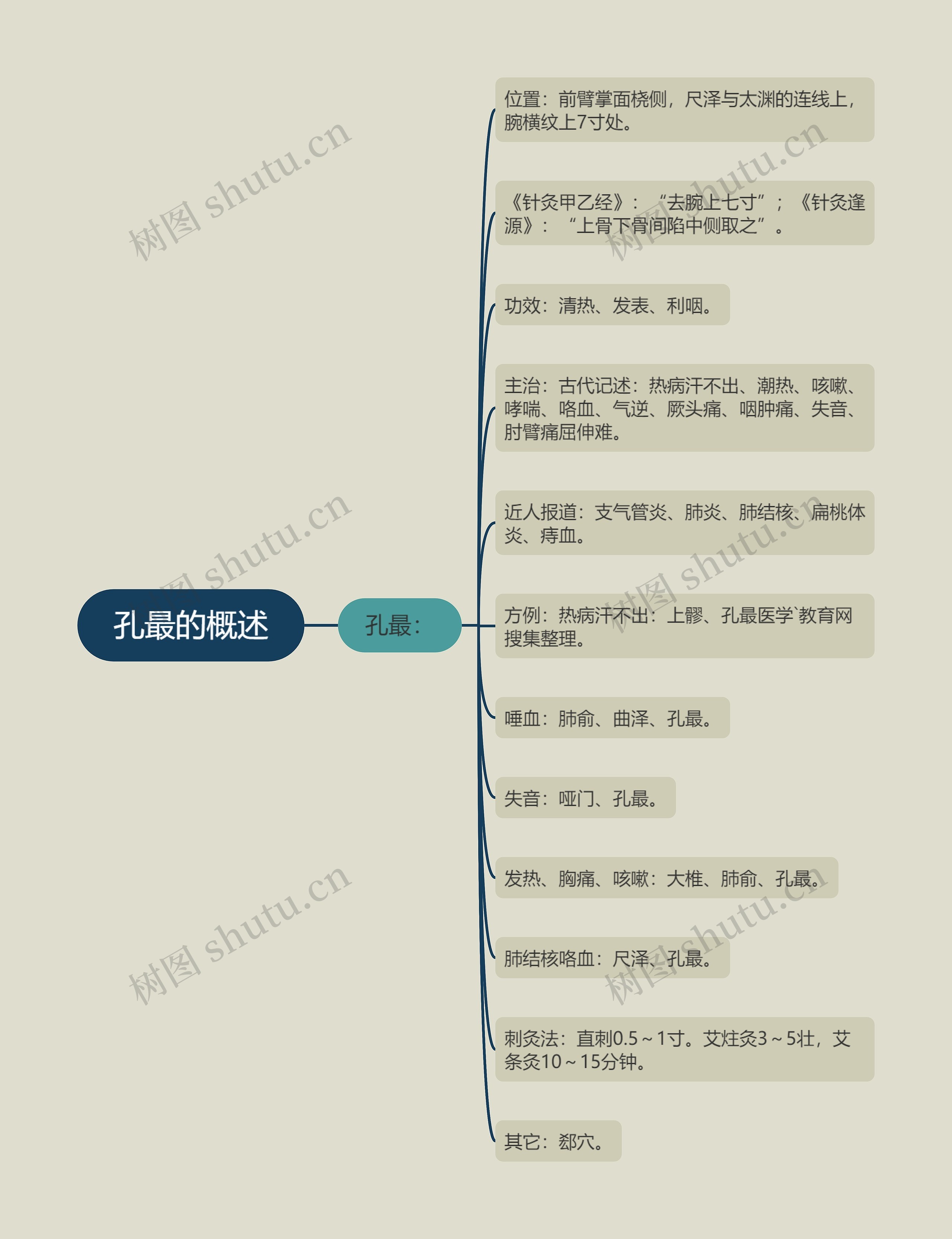 孔最的概述思维导图