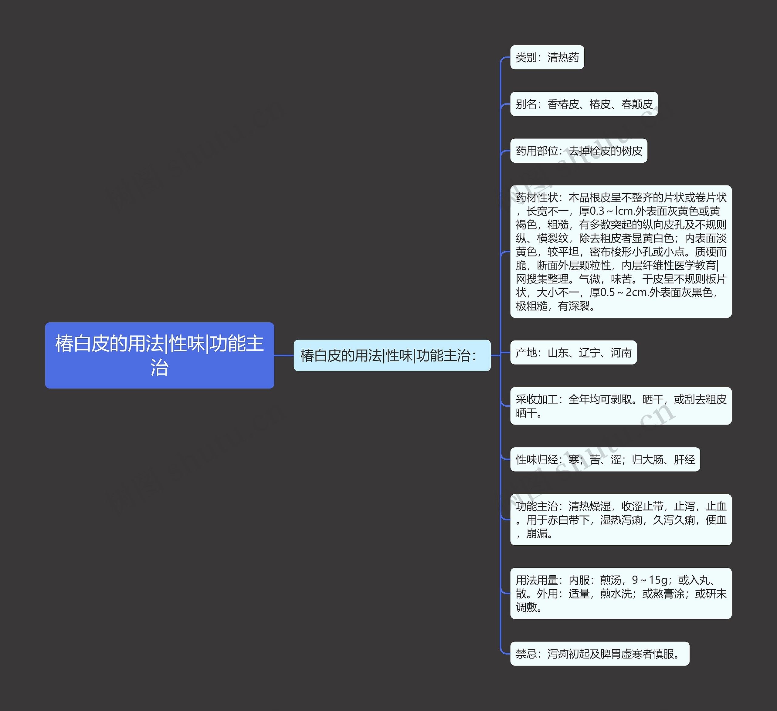 椿白皮的用法|性味|功能主治思维导图