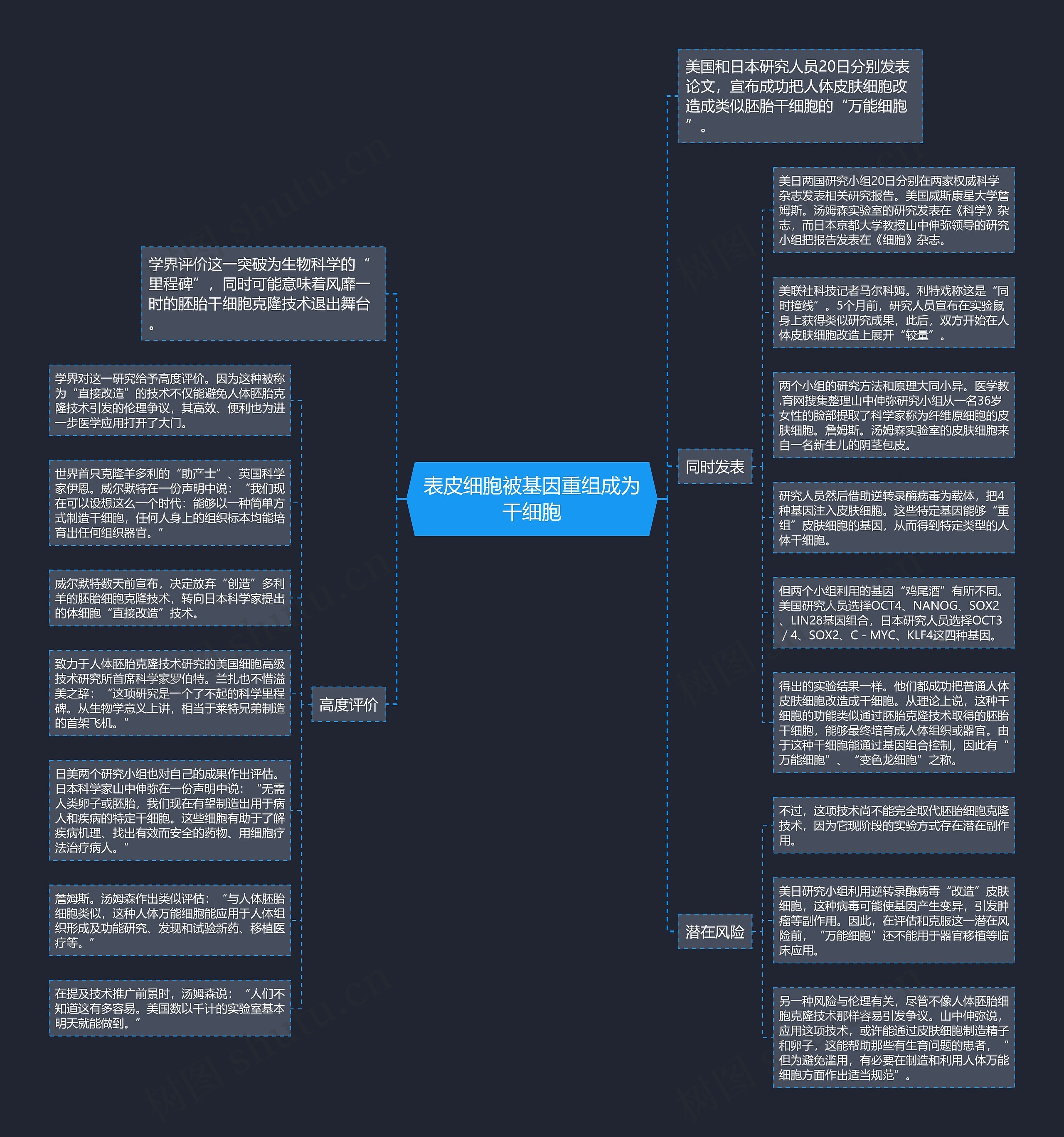 表皮细胞被基因重组成为干细胞