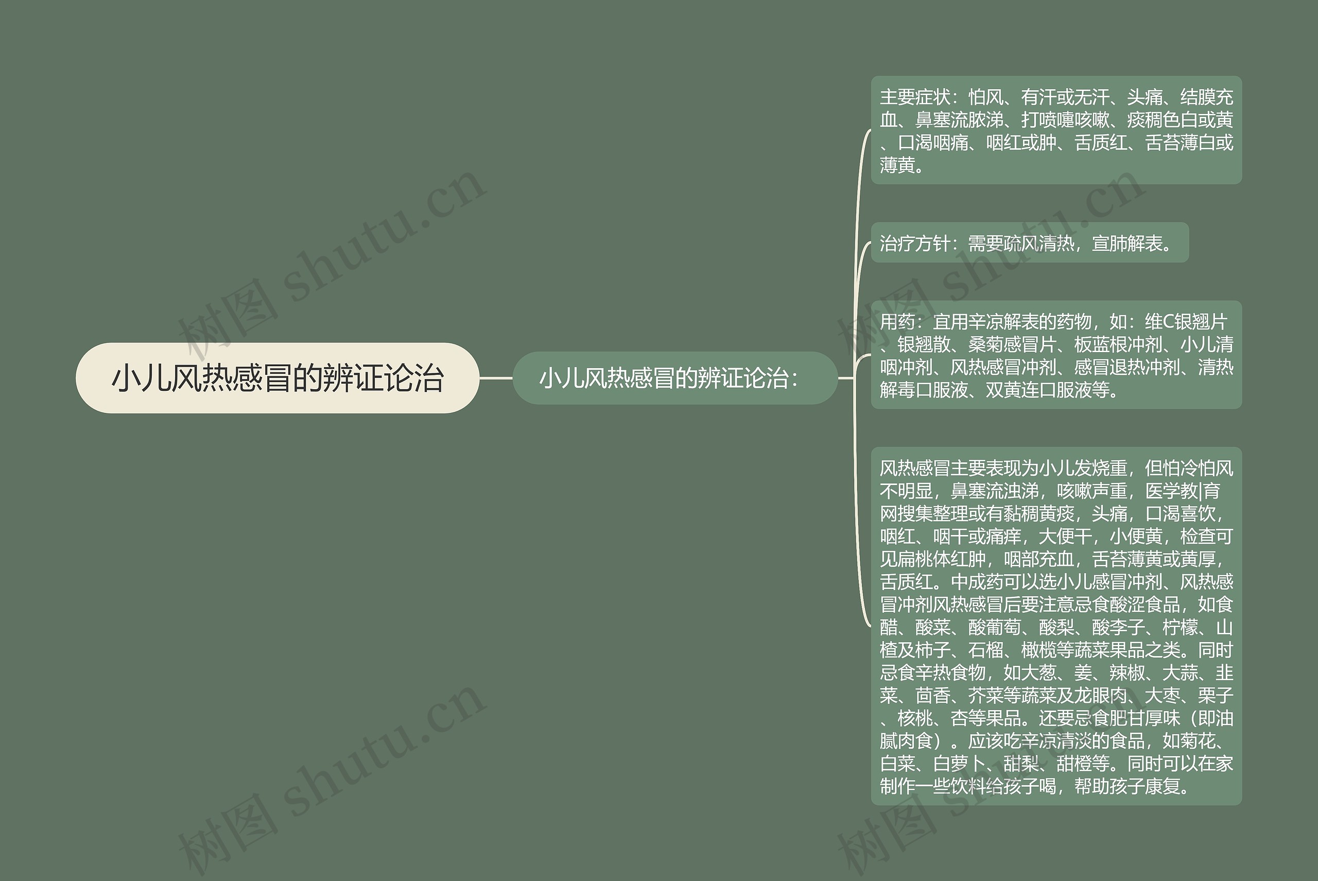 小儿风热感冒的辨证论治思维导图