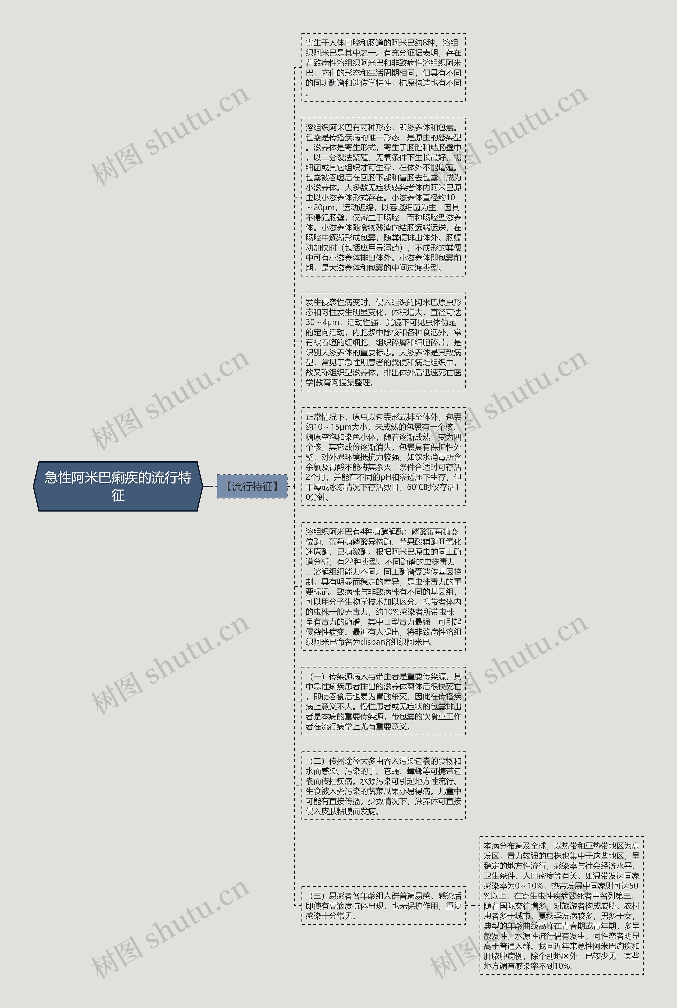 急性阿米巴痢疾的流行特征思维导图