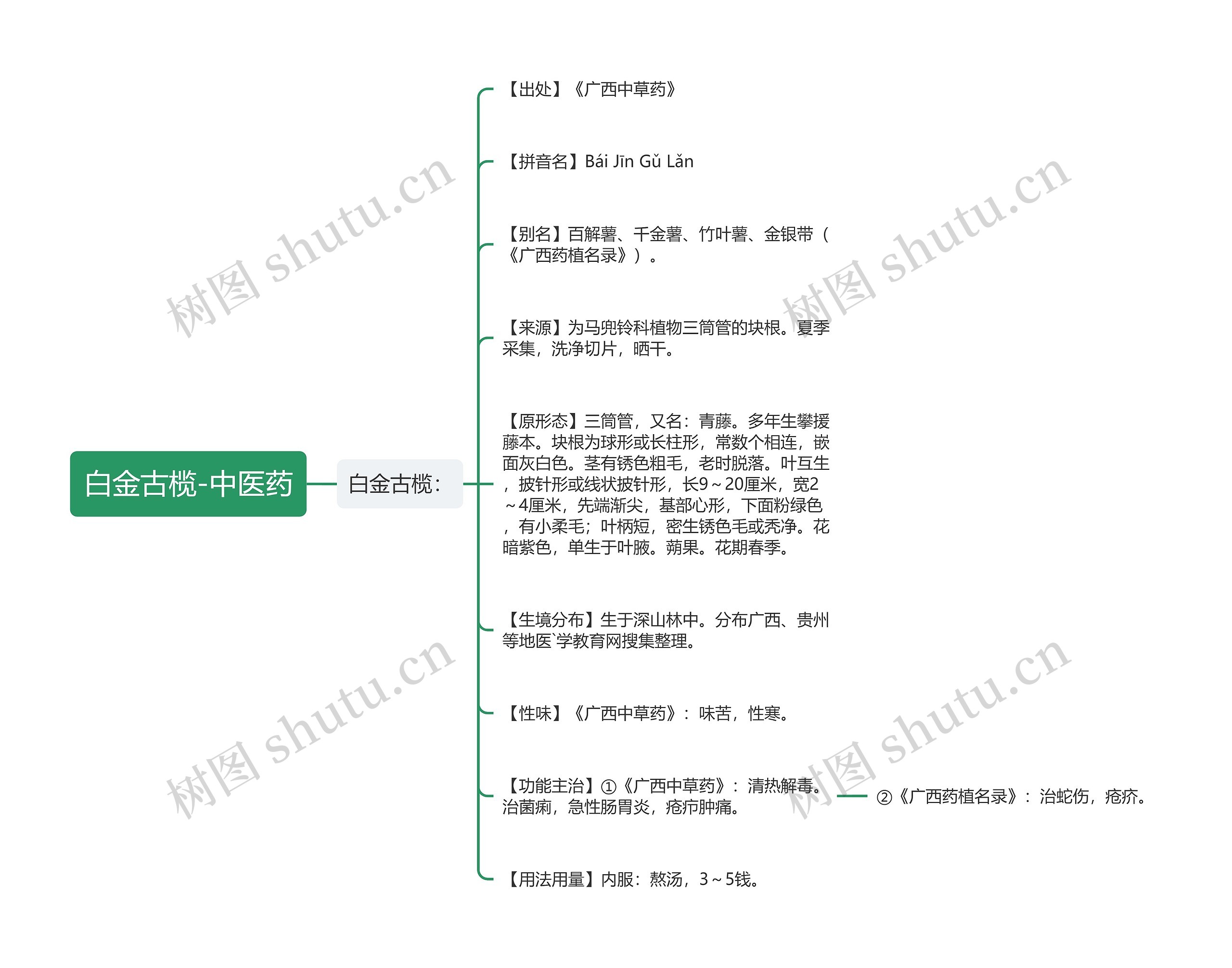 白金古榄-中医药 白金古榄-中医药