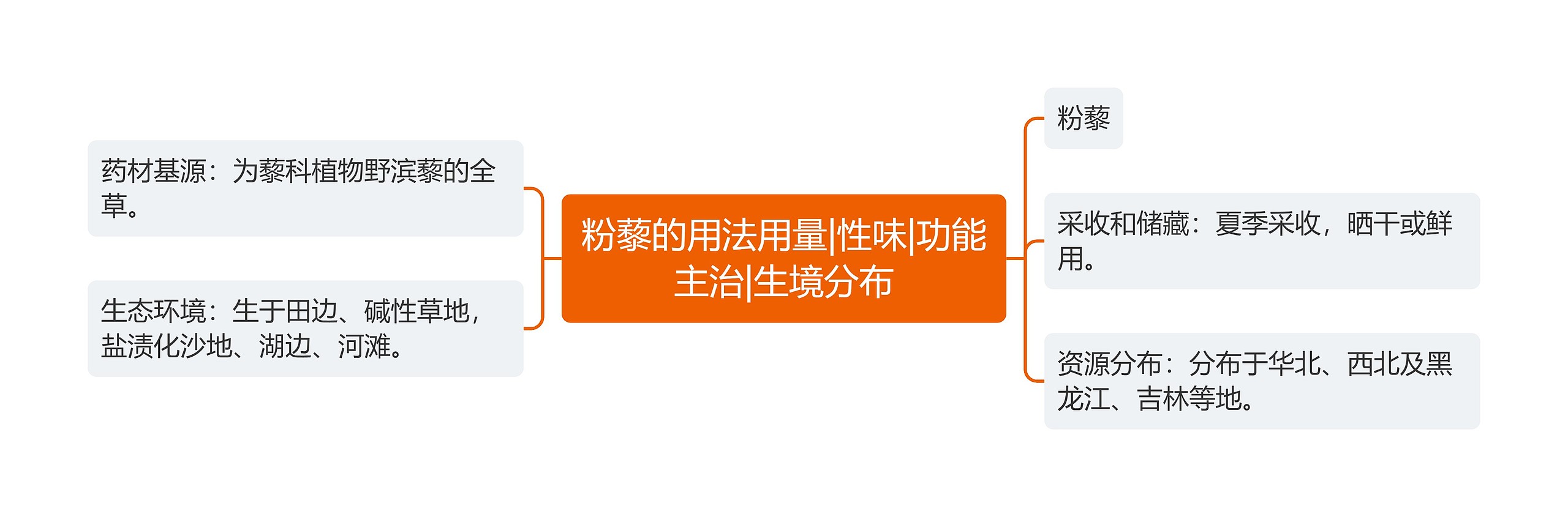 粉藜的用法用量|性味|功能主治|生境分布 粉藜的用法用量|性味|功能主治|生境分布