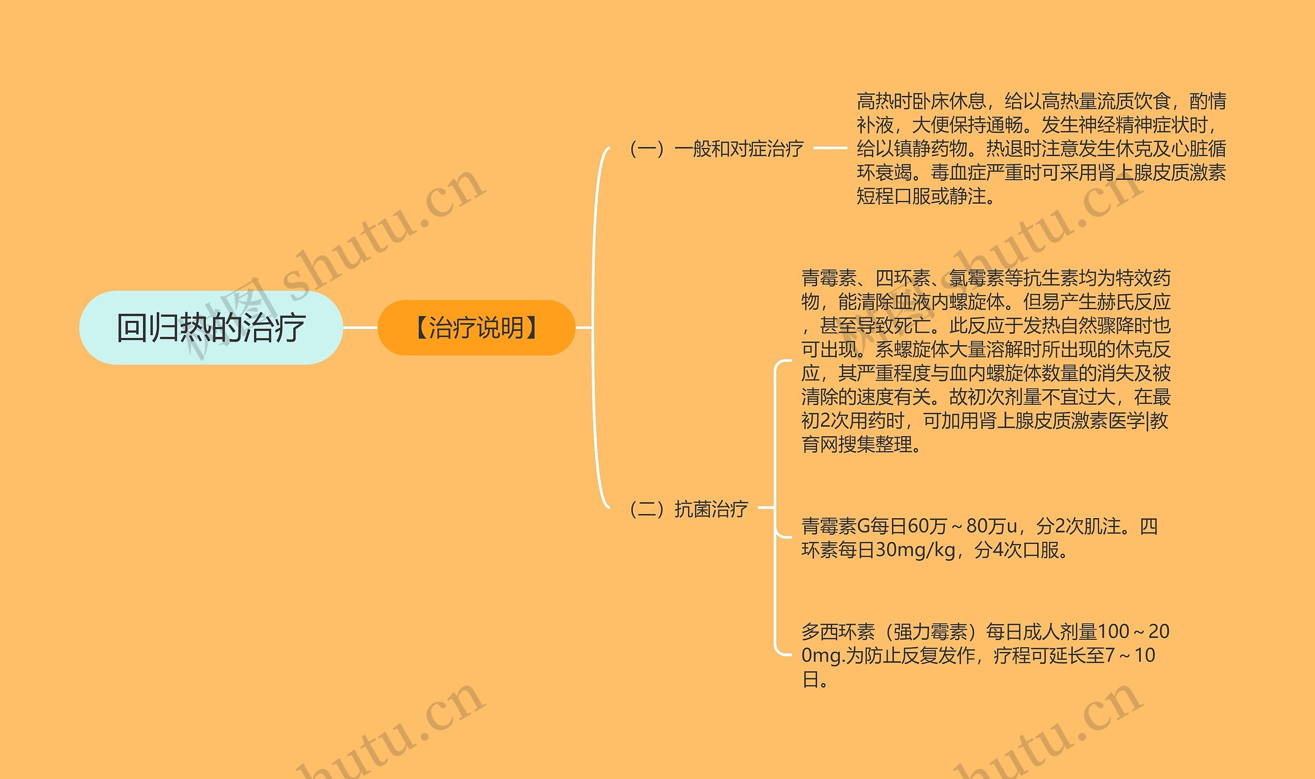 回归热的治疗思维导图