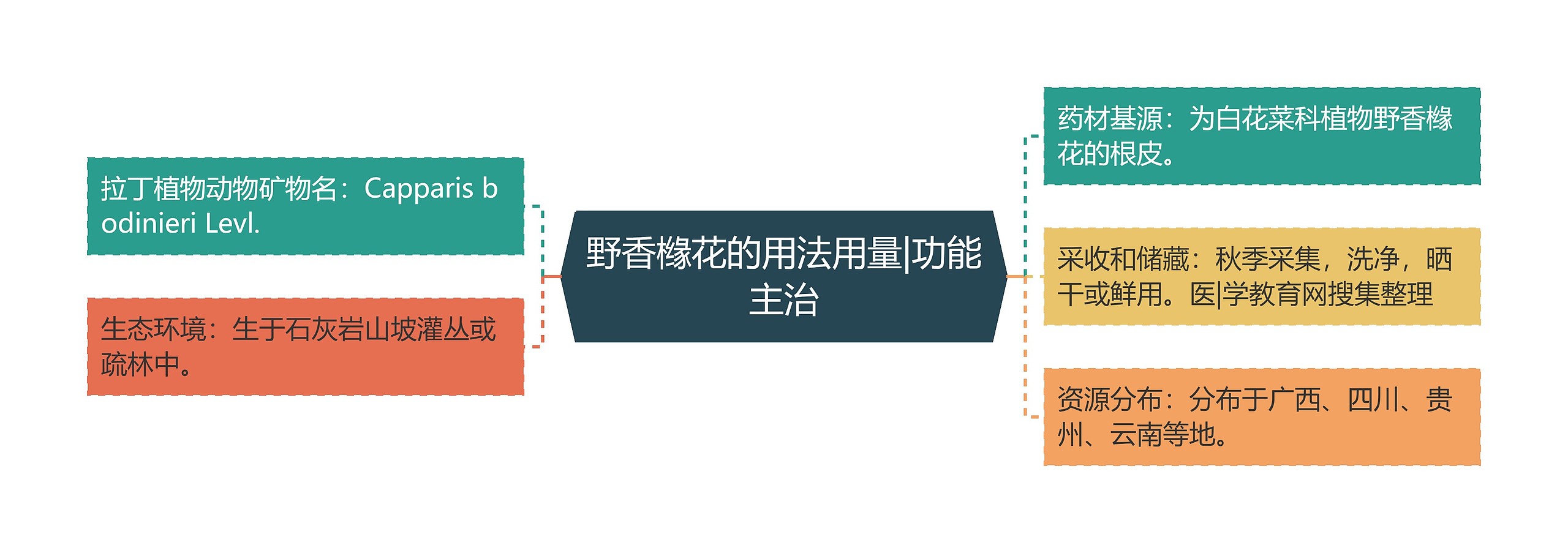 野香橼花的用法用量|功能主治 野香橼花的用法用量|功能主治