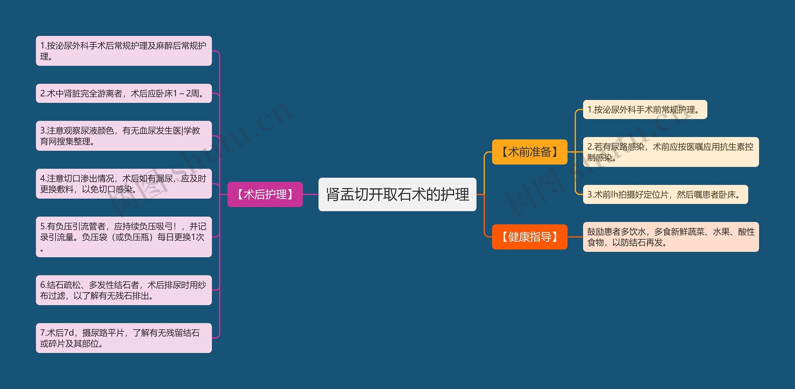 肾盂切开取石术的护理