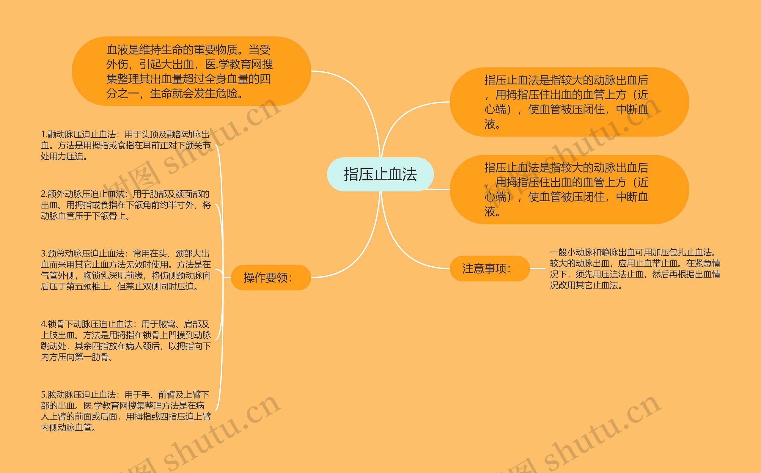 指压止血法思维导图