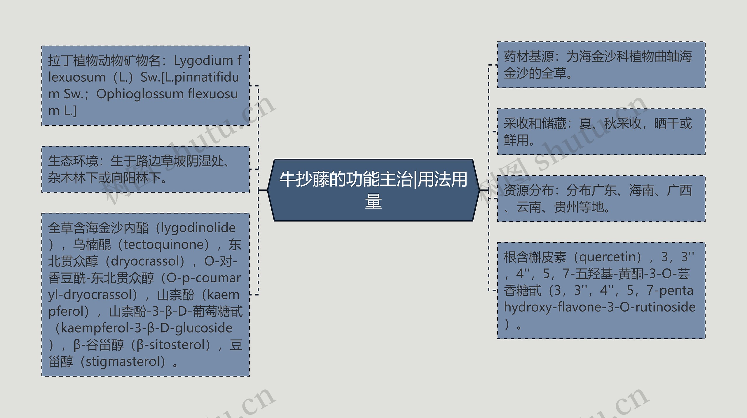 牛抄藤的功能主治|用法用量