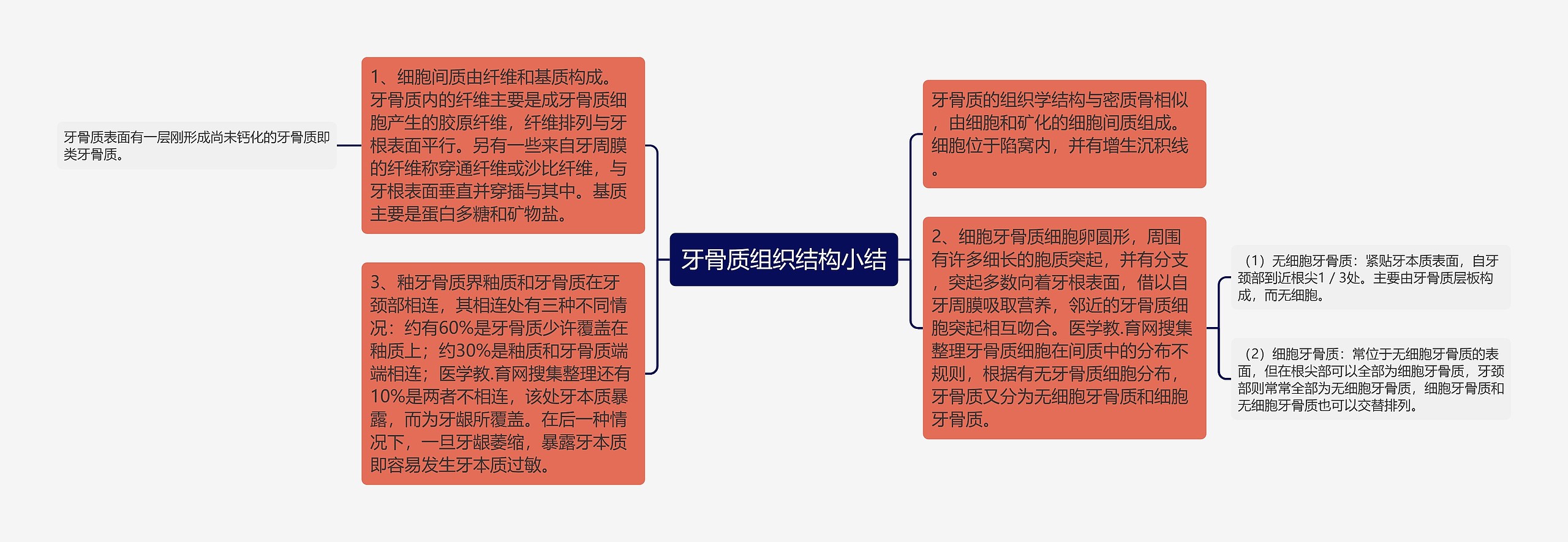 牙骨质组织结构小结思维导图