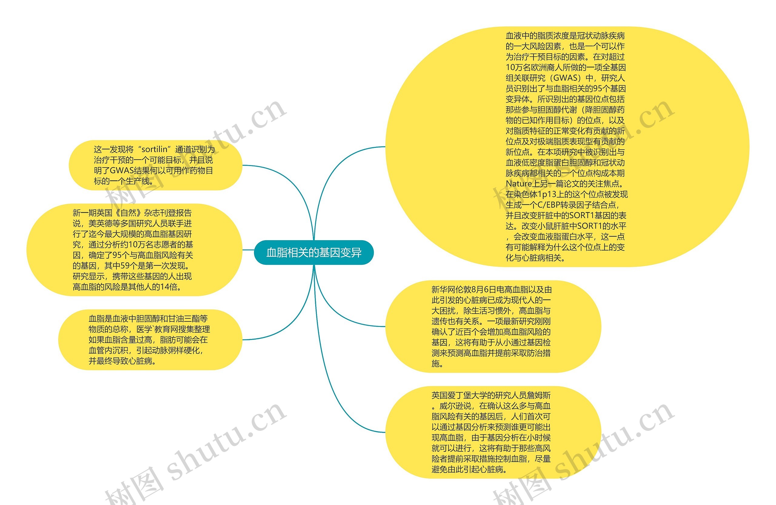 血脂相关的基因变异思维导图