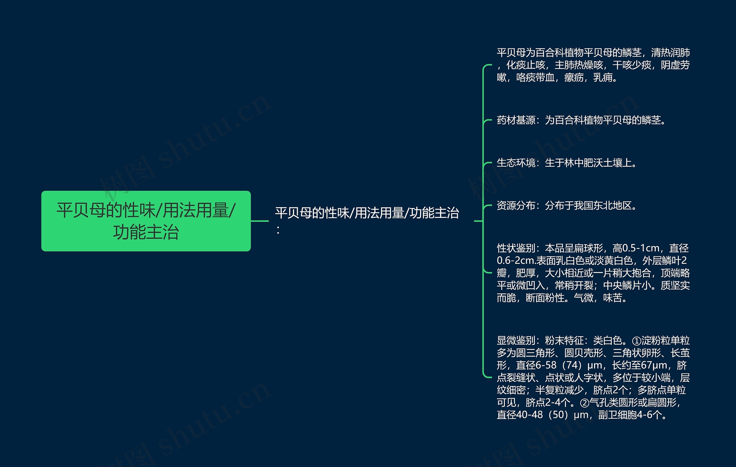 平贝母的性味/用法用量/功能主治