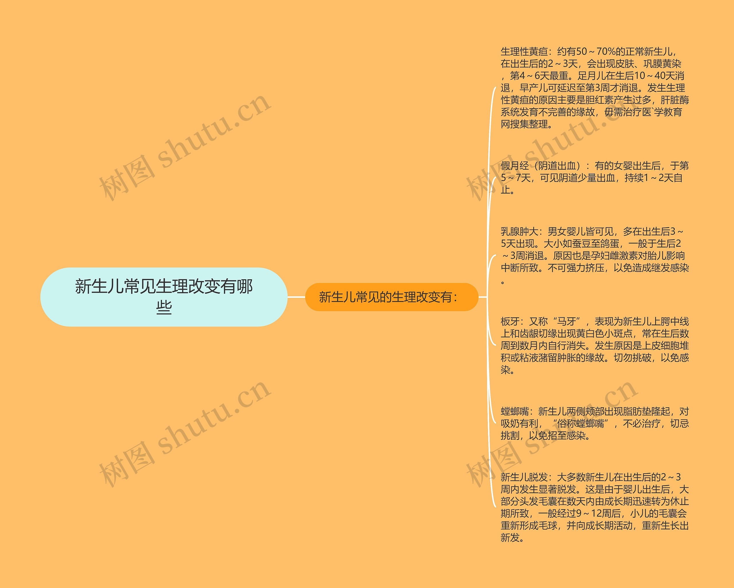 新生儿常见生理改变有哪些 新生儿常见生理改变有哪些